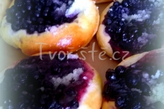 Borůvkové koláče