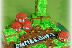 Minecraft z perníku pro oslavence