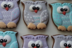 Sovičky pro děti do nemocnice