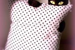 Polštářek s kočičkou