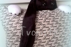 Polštářek s pejskem