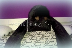 Polštářek s pejskem