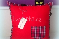 Polštářek pro Páju :-)