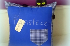 Polštářek pro Péťu :-)