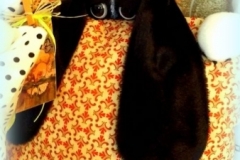 Polštářek s hafanem